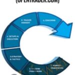 Cart Open Trader Pro Training opentrader com - Forex library