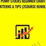 Penny Stocks Beginner Chart Patterns Tips 2Course Bundle - Forex library