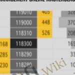 Cart Perfecting Execution and Trade Management Online Masterclass - Forex library