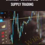 Performance Optimization Strategy Demand and Supply Trading - Forex library