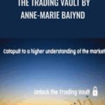 SMB The Trading Vault by Anne Marie Baiynd - Forex library