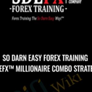 SO DARN EASY FOREX TRAINING (SDEFX™ Millionaire Combo Strategy) - Shelley Hanlon