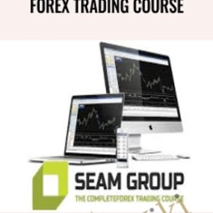 Forex Trading Course-Seam Group - Stefan Theron