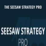 Simplertrading E28093 The Seesaw Strategy Pro - Forex library