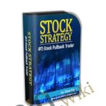 Stock Strategy 2 E28093 Steve Primo - Forex library