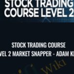 Stock Trading Course Level 2 Market Snapper Adam Khoo - Forex library
