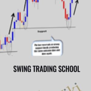 Swing Trading School - Nirvana Systems