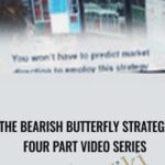 The Bearish Butterfly Strategy Four Part Video Series - Forex library