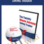 The Twenty Minute Extreme Swing Trader George Hallmey - Forex library