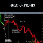 Todd Mitchell - Forex library