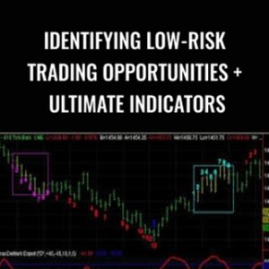 Identifying Low-Risk Trading Opportunities + Ultimate Indicators - Tom Demark