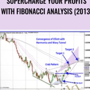Supercharge Your Profits With Fibonacci Analysis (2013) - TradeSmart University
