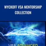 Tradeguider E28093 Wyckoff VSA Mentorship Collection - Forex library