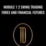 Trader Dante Module 1 2 Swing Trading Forex and Financial Futures - Forex library