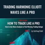 Trading Harmonic Elliott Waves like a PRO - Forex library