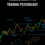 Cart Trading Like a Pro E28093 Trading Psychology E28093 Tradimo - Forex library