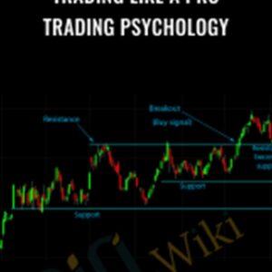 Trading Like a Pro-Trading Psychology - Tradimo