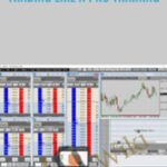 Cart Trading Like a Pro Training E28093 Tradimo - Forex library