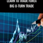 Cart Udemy 1 - Forex library