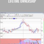 VSA for Metasatock E28093 lifetime ownership - Forex library
