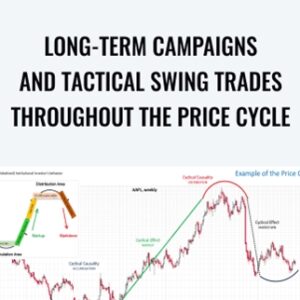 Long-Term Campaigns And Tactical Swing Trades Throughout The Price Cycle - Wyckoff Method