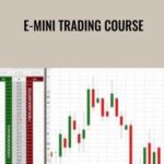 Zoran Kolundzic E28093 E mini Trading Course - Forex library