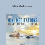 iAwake Mini Meditations 1 - Forex library